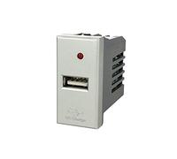 A2ZWORLD Modulo Caricatore USB Da Muro 5V 2,1A, Compatibile con Bticino Axolute (Grigio)