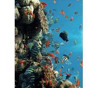 A4 Notebook: A4 Notebook with Oceans Coral on the Cover