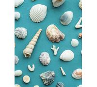 A4 Notebook: A4 Notebook with Seashells on the Cover