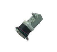 A58SW-42BYS 12V DC electronic starter Worm Stepper Gear electronic starter 24V Reduction electronic starter Double Output Shaft High Torque Synchronizable Self-locking NWPNLXEA(Ratio 1-17,Package B)
