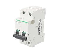 A9N61535 Interruttore di sovracorrente 500VDC Nomina: 32A Polo: 2 per guida D...