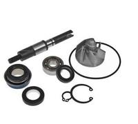AA00813 TOP PERFORMANCES KIT REVISIONE POMPA ACQUA PER HONDA SH 125 150 CC 4T