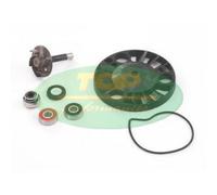 AA00817 KIT REVISIONE POMPA ACQUA H2O PIAGGIO X9 EVOLUTION 125 2003-2003