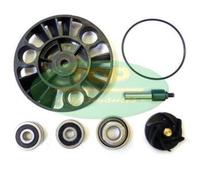 AA00826 KIT REVISIONE POMPA ACQUA H2O PIAGGIO X9 EVOLUTION EU3 125 2007-2007
