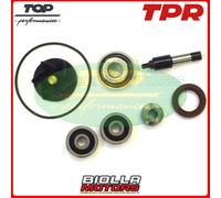 AA00828 KIT REVISIONE POMPA ACQUA H2O PIAGGIO X9 EVOLUTION 250 2006-2006
