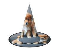 aabkjgfr Pomeranians Puppies And Point 1 Print Guide Hat,Cappello da strega di Halloween per adulti, adatto per feste, carnevale, mascherata, giochi di ruolo