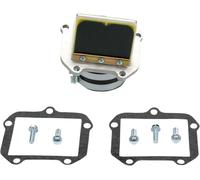 AADBL - BOYESEN - RAD VALVE KTM380SX 98-02 - RAD VALVE CARBON FIBER - Dalbellomo