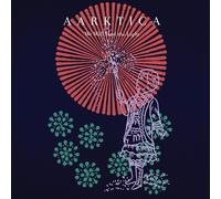 Aarktica We Will Find The Light (Vinyl LP)