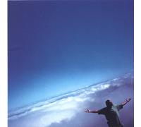 Aaron Flinn's Salad Days - Life Of Riley