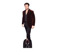 Aaron Taylor-Johnson Marrone Giacca Grandezza Naturale Cartone Ritaglio Free