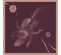 Aaron Turner & Jon Mueller Now That You've Found It (Vinyl LP) 12" Album