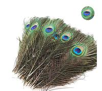 Aatpuss 20 Pezzi Piume di Pavone Naturali, 25-30 Cm Bella Piuma di Pavone Occhio, Coda di Pavone Occhio Piuma Ornamento, Naturale Reale Piume di Pavone Adatto Per l'Artigianato, Abbigliamento