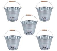 AB Tools Secchio in acciaio zincato da 5 l, secchio per acqua, carbone, serra, piante da giardino, 5 pezzi