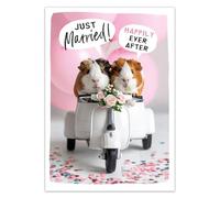 Abacus Cards Congratulations On Your Wedding Day Card - Simpatici porcellini d'India, ecologici e riciclabili - "Happily Ever After"
