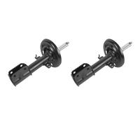 Abakus 2x Ammortizzatore Sinistra Destra Frontale per Renault Scénic III JZ0/1_