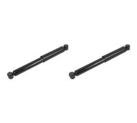 ABAKUS 2x Ammortizzatore Sinistra Destra Posteriore per Ford Transit P65_P70_