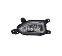 ABAKUS Faro Antinebbia Destra 221-2072R-UE per Hyundai ECE, Senza Lampada