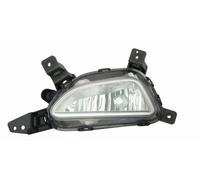 Abakus Fendinebbia Sinistro 221-2057L-UE Per Hyundai, Senza Supporto Lampada