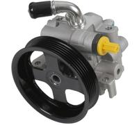 Abakus Pompa Idraulica Sterzo Per Ford Transit Connect P65_ P70_ P80_ 1.8 Di