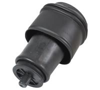 Abakus Sospensione Pneumatica Soffietto Primavera Posteriore SX Dx per Citroen