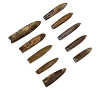 Abaodam 10 Campioni Belemnite Fossile Decorativo Educativo per Insegnamento Paleontologia Animale Oceanico Modelli da Collezione e Gioco Didattico