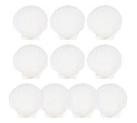 Abaodam 10 Pezzi Conchiglie Decorative Bianche Fai per Casa e Vasi | Aspetto Naturale, Dettagli Delicati e Bel Design, per Candele e Progetti Creativi, Colore Bianco