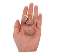 Abaodam 24 Miniature Resin Gopher Figurines Cute Tiny Animal Ornaments For Diy Garden Crafting Office Desk Decor Microlandscape Accessories