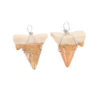 Abaodam 2pezzi Collana Pendente Dente Di Squalo Charm Per Attività All Aperto Design Unico e Finitura Elegante Per Amici e Famiglia