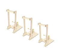 Abaodam 3 Set Kit Sperimentale di Fisica per Studenti Gru Meccaniche in Legno da Assemblare Giocattolo Educativo per Apprendimento della Meccanica e Scienze Strumento Didattico Interattivo