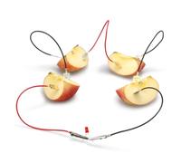 Abaodam 3Sets Kit Esperimenti Scientifici con Batterie Frutta per Attività Educative su Rinnovabile e Sperimentazione Pratica