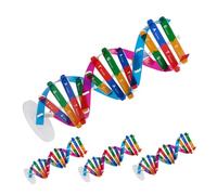 Abaodam 4 pezzi Kit Modelli Dna Doppia Fai da Te Strumento Didattico per Apprendimento Biologico Genetico Umano per Scuola e Laboratorio