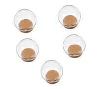 Abaodam 5 Pezzi Cloche di Vetro con Fiori Stabilizzati Sotto Cupola Trasparente con Base Piatta, Decorazione Stabile e Raffinata per Interni e Scrivania