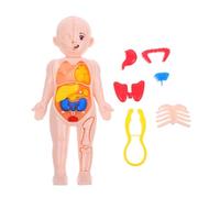 Abaodam Anatomico del Corpo Umano per Kit di Assemblaggio Interattivo con Modelli Dettagliati di Organi e Ossa Strumento Educativo per Apprendimento Scientifico e Sviluppo Motorio Fine