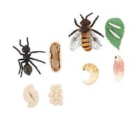 Abaodam Animale in per Giocattoli Educativi per Api e Set 2 per l'Apprendimento del Ciclo