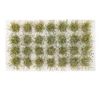 Abaodam Ciuffi D’erba in Resina per Modellismo Ferroviario, Miniatura Paesaggio e Micro Terreni, Kit Decorativo per Scenari di Treni in Scala N, Confezione da 28 Pezzi Verde