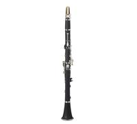 Abaodam Clarinetto in Bachelite Si Bemolle per Principianti e Adulti, Set Custodia e Panno la Pulizia, Strumento da Orchestra Ergonomico e Resistente per Banda e Scuola