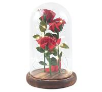 Abaodam Fiori Led Rosso Con Cupola in Decorazione Romantica Per Compleanni e Matrimoni Immortale Per Amici e Famiglia Senza Batteria Atmosfera Accogliente Per Ogni Occasione