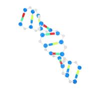 Abaodam Kit Dettagliato per Studio della Struttura a Doppia Spirale del Dna per Lezioni di Biologia e Modellazione per Esperimenti Scientifici