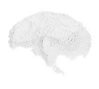 Abaodam Sabbia Bianca per Incenso Cenere Profumata Facile da Modellare Sabbia Decorativa Versatile per Bruciatori Incenso Cerimonie Zen