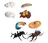 Abaodam Set 8 Pezzi Modelli di Simulazione Formiche Operarie Ciclo di Crescita Animale, Giocattoli Educativi Scientifici, Modelli Evolutivi di Esposizione Realistica per Apprendimento