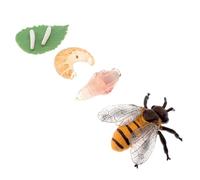 Abaodam Set di Modelli Educativi di Api in Plastica Realistici, Giocattoli Scientifici del Ciclo di Crescita delle Api, Kit di Apprendimento per Scuola e Casa, Figurine di Insetti