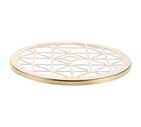 Abaodam Supporto per Composizioni Floreali in Metallo 12 CM Griglia a Rete Organizer da Tavolo per Bouquet e Fissaggio Stabile di Fiori Artificiali Strumento per Fioristi e Decorazioni