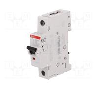 ABB 2CDS271001R0024 Interruttore di sovracorrente