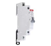 ABB SACE S.P.A. E211/16/20 - E211-16-20 INTERRUTTORE 2P 16A