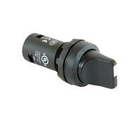 ABB Interruttore selettore C2SS2-10B-20 • Interruttore rotativo mantenuto a 2 posizioni • Contatti 2NO • Maniglia nera corta • Interruttore di controllo compatto non illuminato • 24-300 V • Montaggio