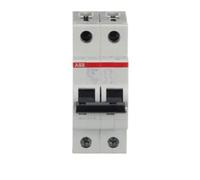 Interruttore magnetotermico ABB 2P 16A 10KA C 2M S202M S550307