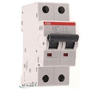 Interruttore magnetotermico ABB 2P 32A 10KA C 2M S202M S550338