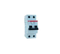 Abb 2CDS252001R0064 Miniature Circuit Breaker 2P New NMP