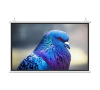 Abbassare lo schermo del proiettore, Schermo for proiettore da 30", 40", 50", 60", 72", schermo for proiezione di film e giochi 4K(0.672916666666667,60")