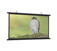 Abbassare lo schermo del proiettore, Schermo for proiettore pieghevole manuale da 30", 40", 50", 60", 72", HD 4K pieghevole(0.16875,50")